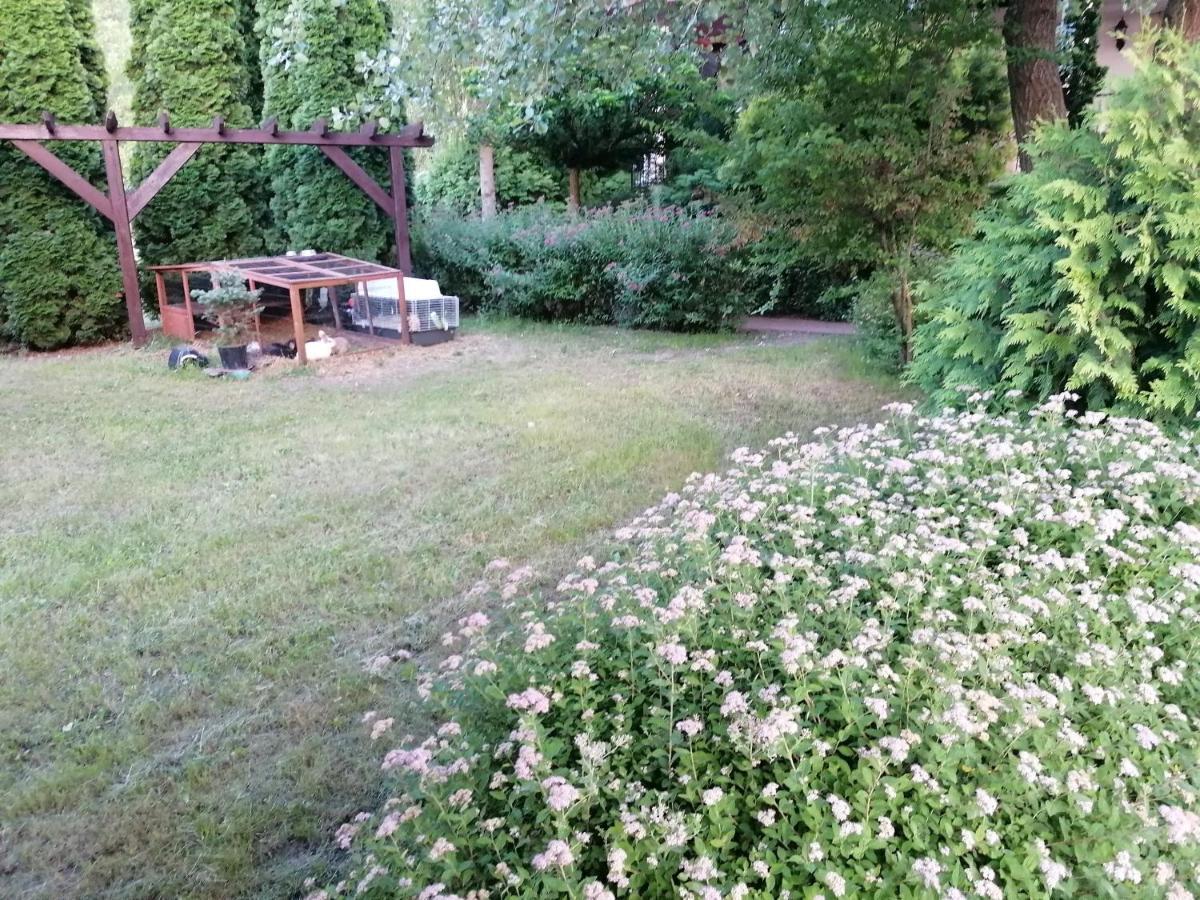 Staff House Bed and Breakfast Nyíregyháza Εξωτερικό φωτογραφία