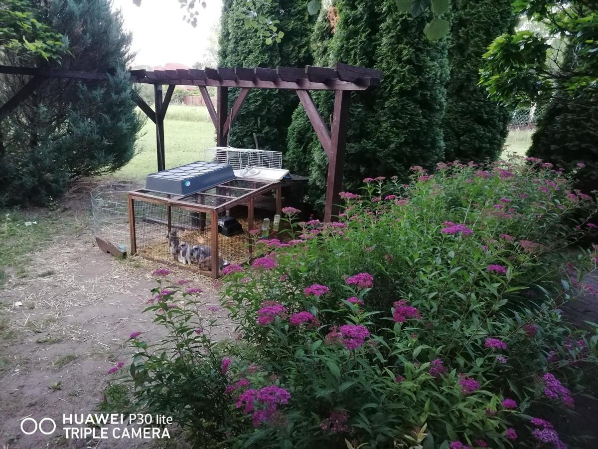 Staff House Bed and Breakfast Nyíregyháza Εξωτερικό φωτογραφία